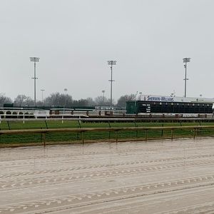 Meet your Posher, Esther